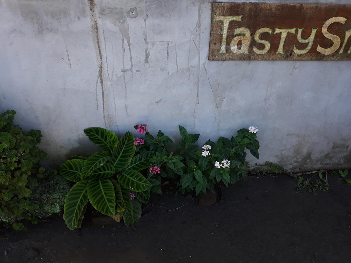 Bed and Breakfast Mi Ranchito Santa Cruz Exterior foto
