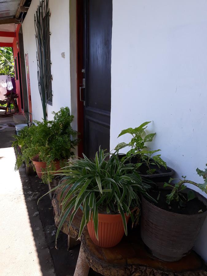 Bed and Breakfast Mi Ranchito Santa Cruz Exterior foto